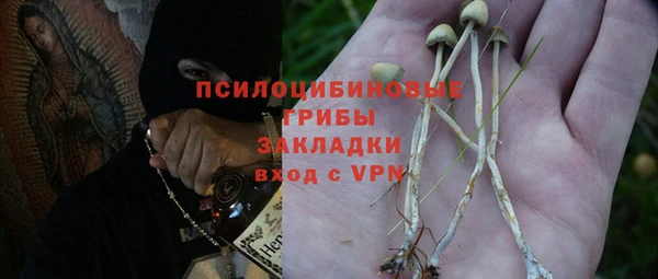 прущие крисы Майский