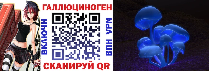 МЕГА ссылка  Макаров  Псилоцибиновые грибы Psilocybe  дарнет шоп 